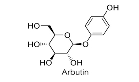 Alpha Arbutin là gì| Công dụng - Cách dùng Alpha Arbutin trị nám