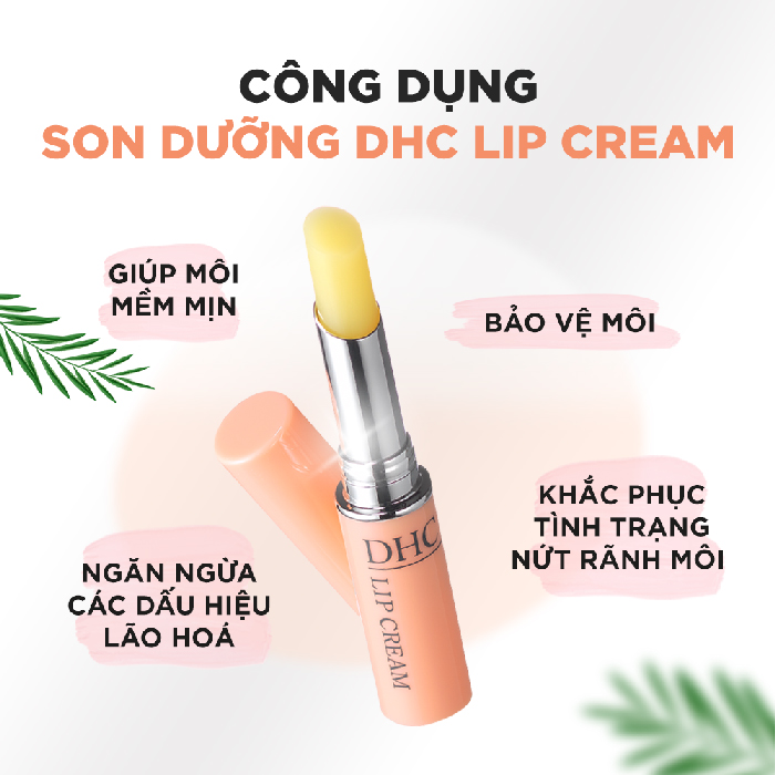 /son-duong-dhc