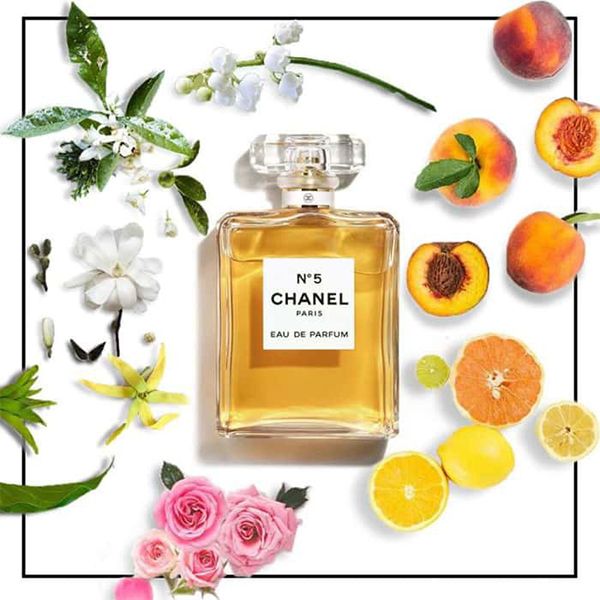 From Nazis to Churchill The Stink Behind Chanel No 5  Life  Culture   Haaretzcom